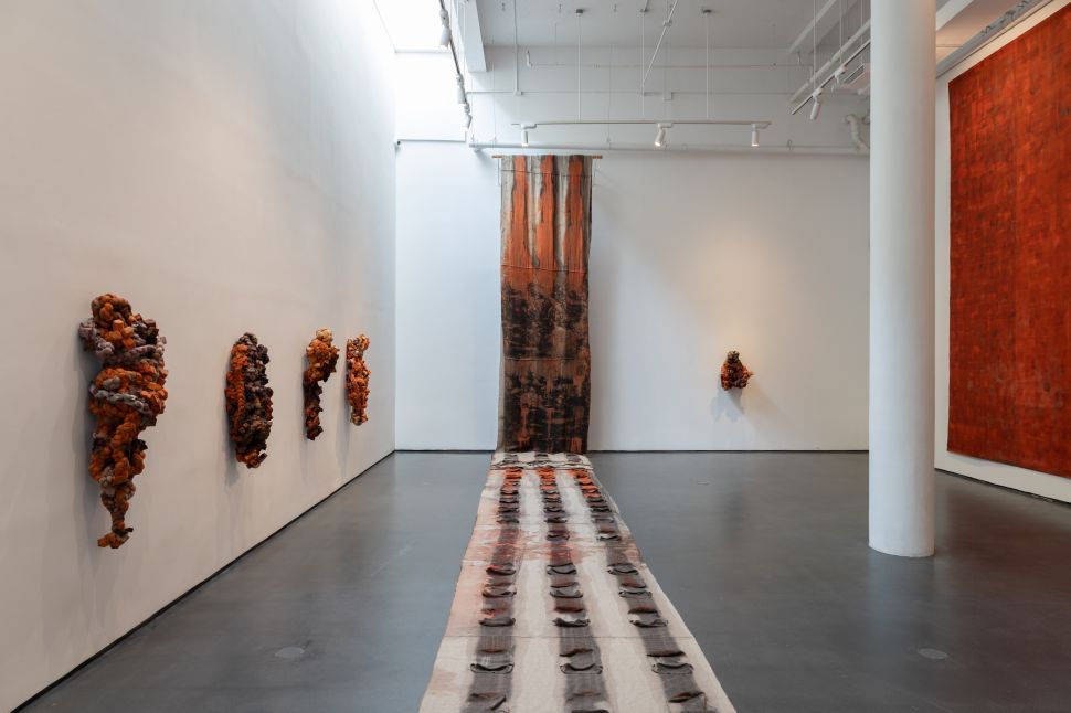 carmen argote turns cochineal’s extractive history into a study of embodiment