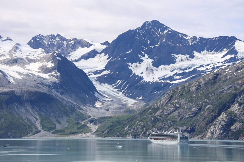 new class to teach southeast mariners how to avoid hitting humpback whales