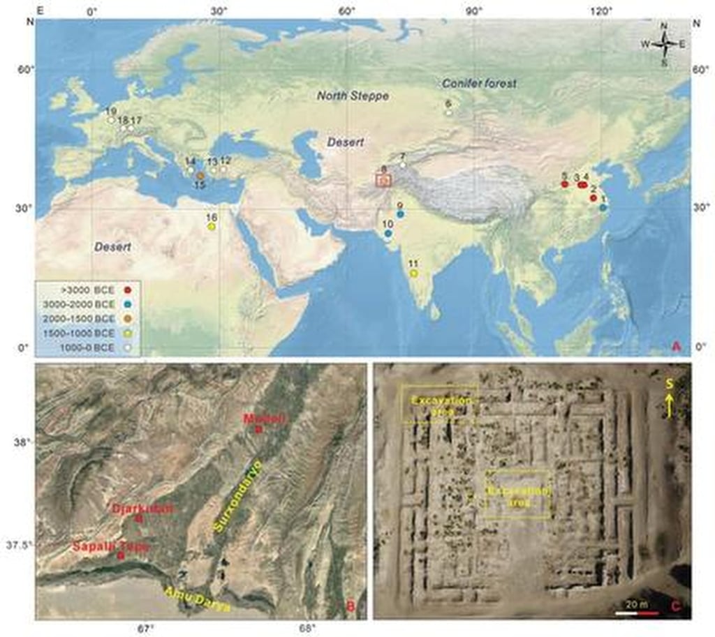 long before the silk road, silkworm cocoons already existed in uzbekistan