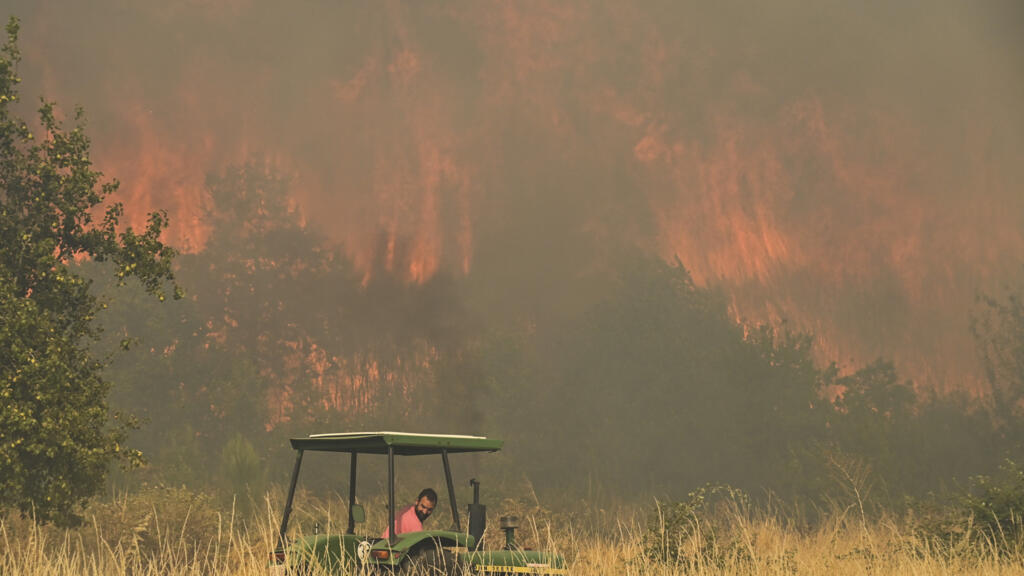 wildfire kills 12 in southern spain as victims found in vehicles