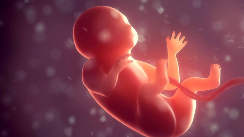 chinese scientists have bad news on having babies in space. but there is a silver lining