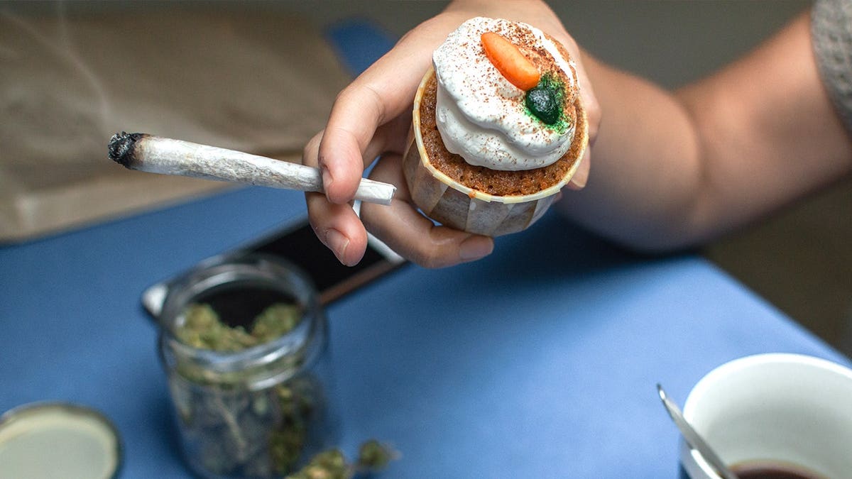 san francisco votes yes on amsterdam style cannabis cafés as health experts worry