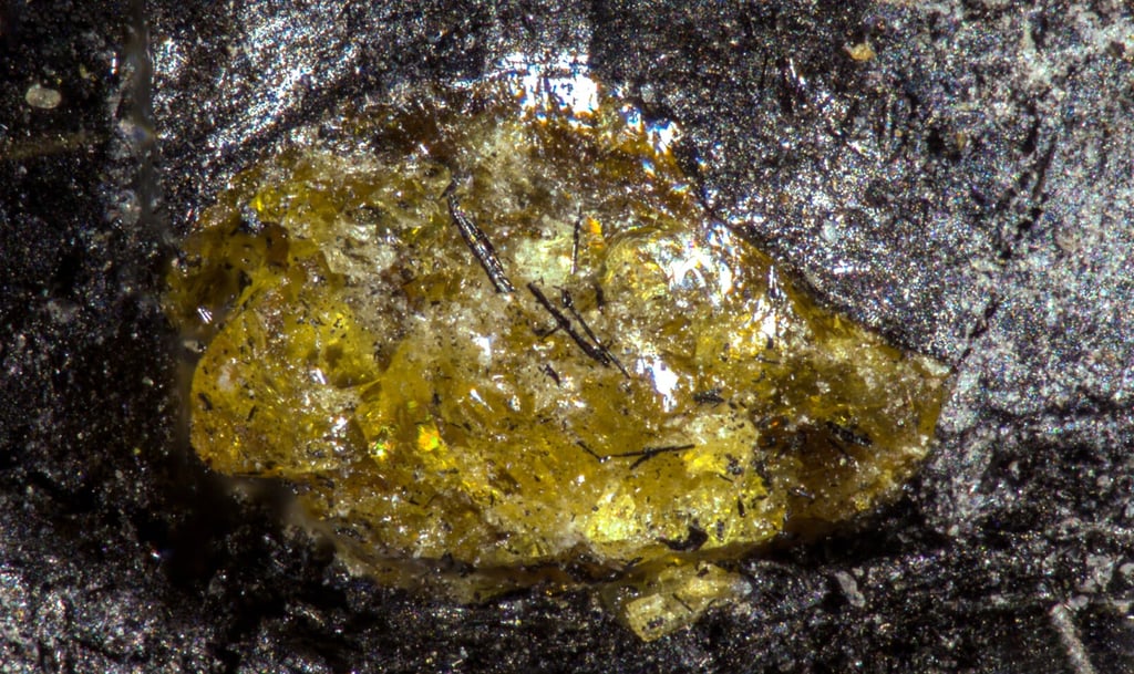 china team unearths world’s oldest amber, hidden in ancient xinjiang coal seam