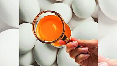 swiggy instamart notices: rotten eggs, spoiled parathas: swiggy gets 9 notices from fssai | india news