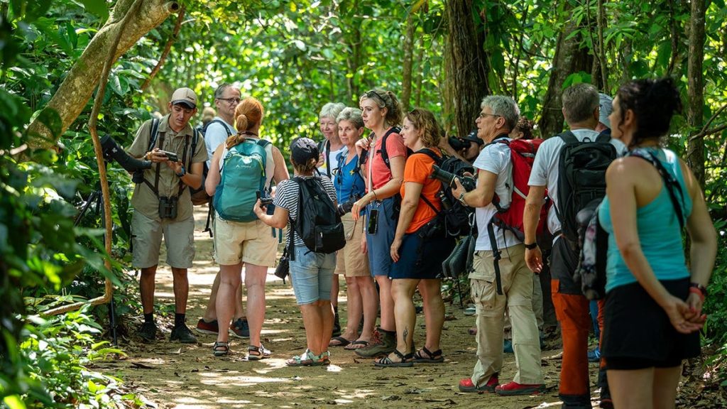 costa rica chikungunya outbreak prompts cdc level 2 travel warning