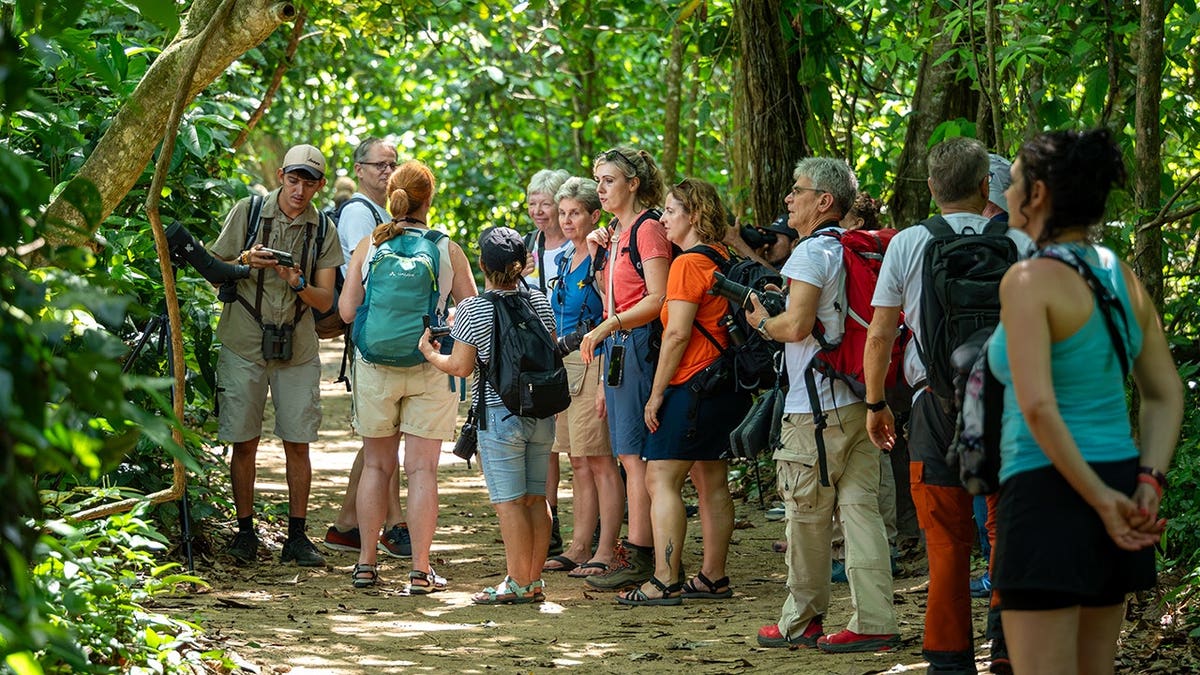 costa rica chikungunya outbreak prompts cdc level 2 travel warning