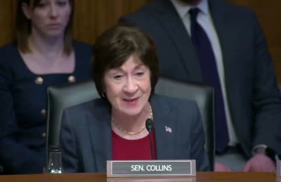 Every Maine Democrat Tested Against Susan Collins Could Beat Her every maine democrat tested against susan collins could beat her