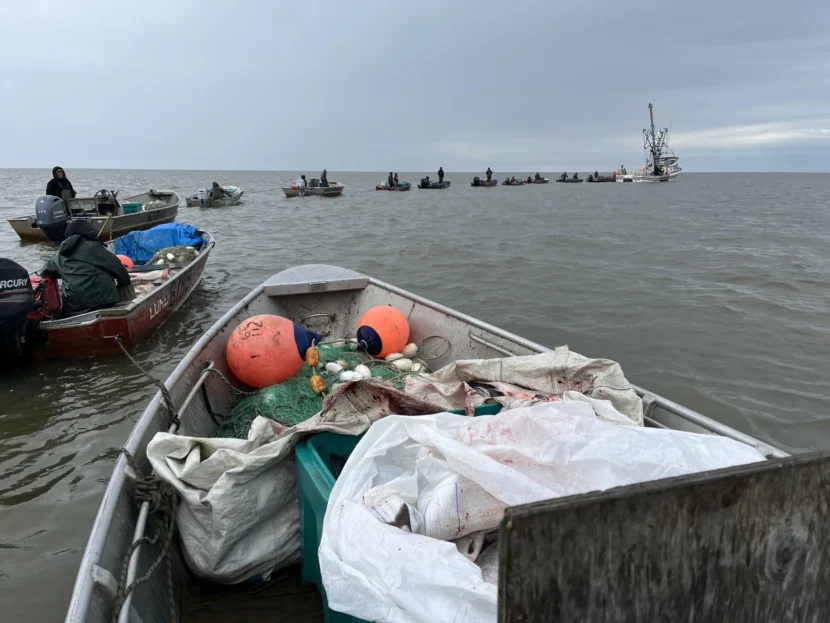 kuskokwim bay commercial salmon fishery opens after 5 year hiatus