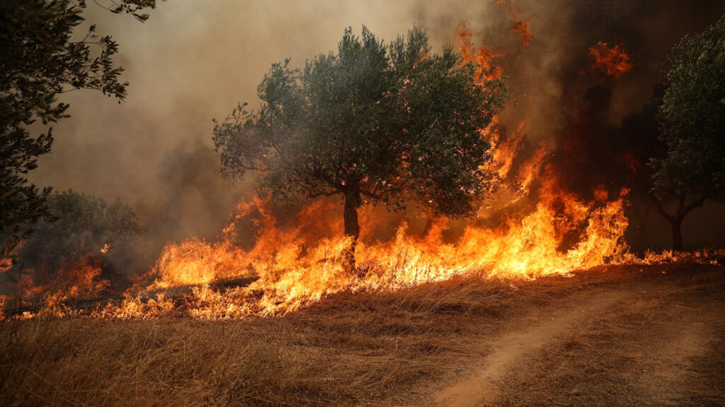 europe's record breaking heat sparks wildfires, drought in france, greece and the uk