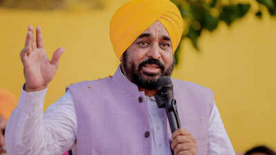 ‘gangstran te vaar’: punjab police acts against over 58,000 criminals in 200 day crackdown | india news