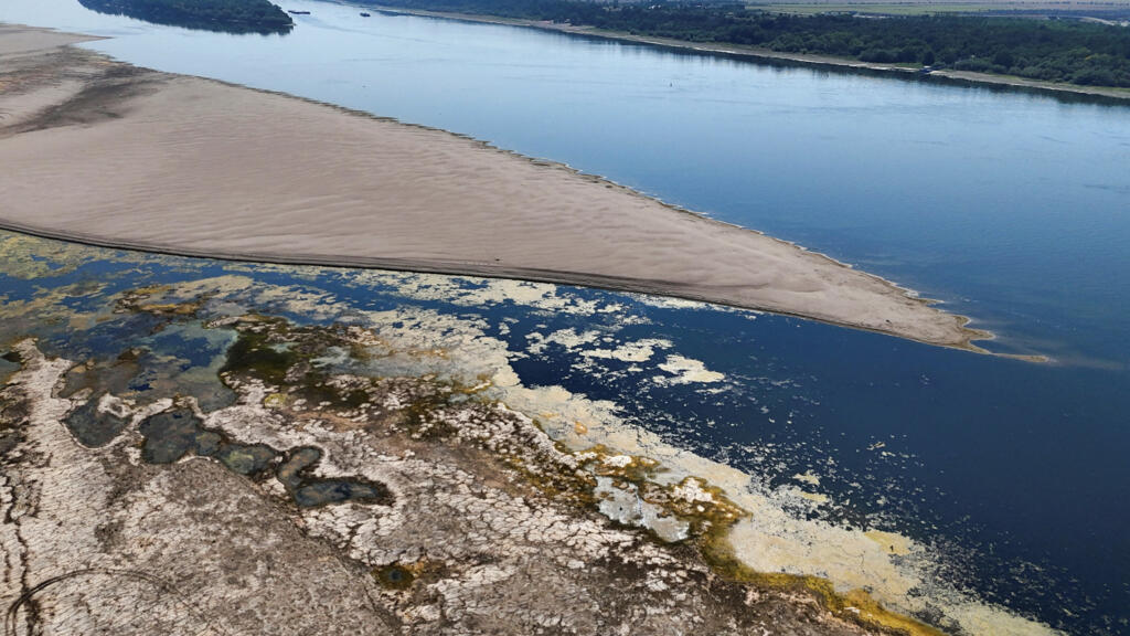 drought hit danube gives way to mammoth fossil hunt in bulgaria