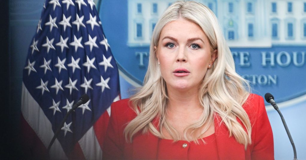 who might replace karoline leavitt as press secretary