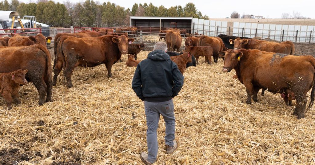trump’s farm belt troubles could upend the midterms