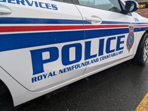 small sea plane crashes in woods near st. john's, n.l., injuring both men on board