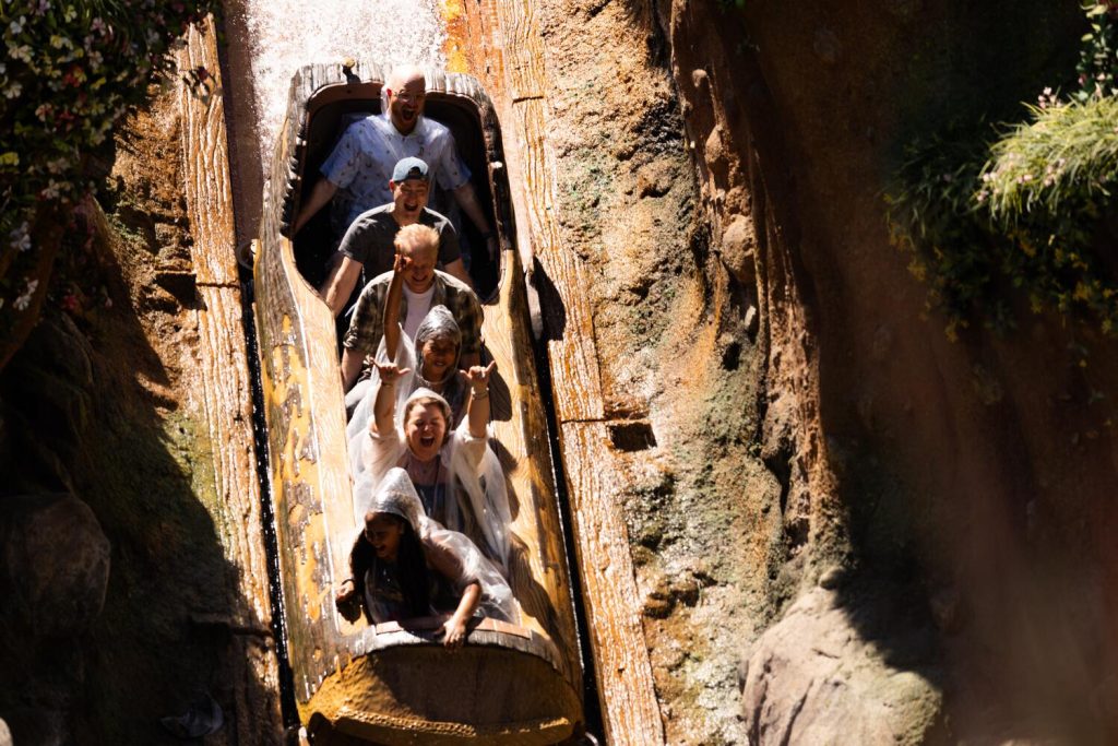 disneyland warns not to stand up on its log flume ride or risk getting booted from the park