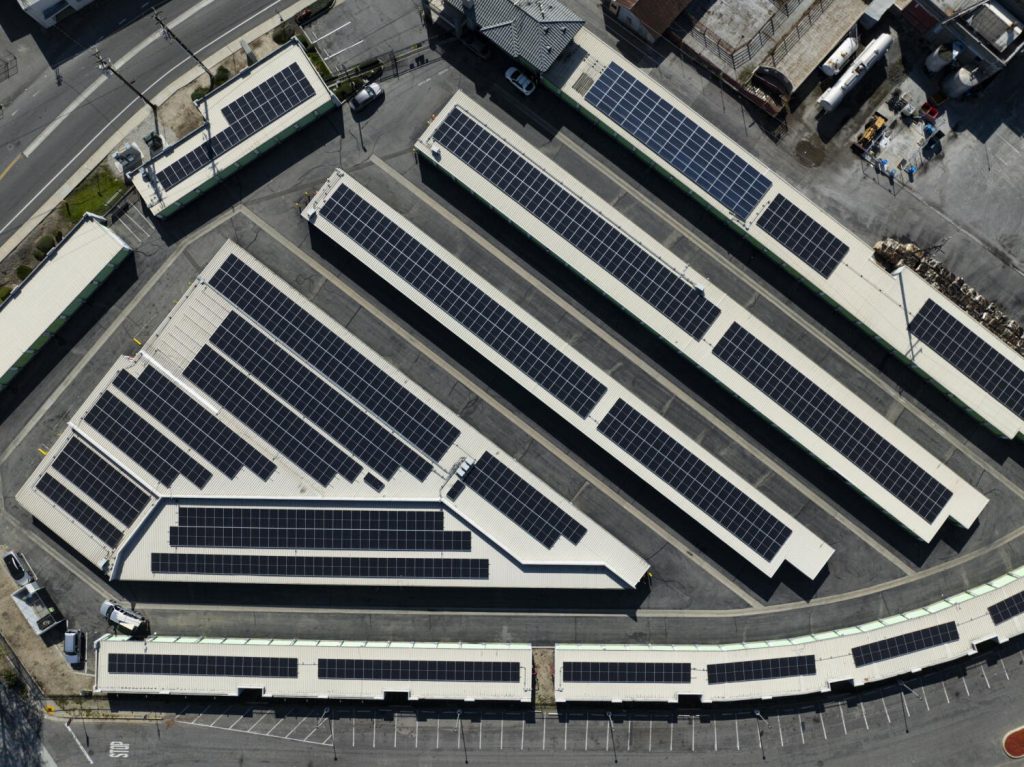 california lawmakers pass bills expanding access to solar for renters