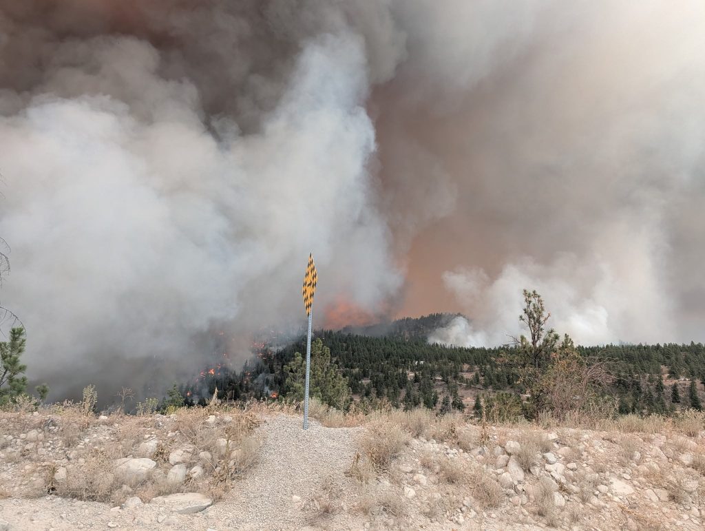 b.c. government declares state of emergency after wildfire in okanagan region explodes in size overnight