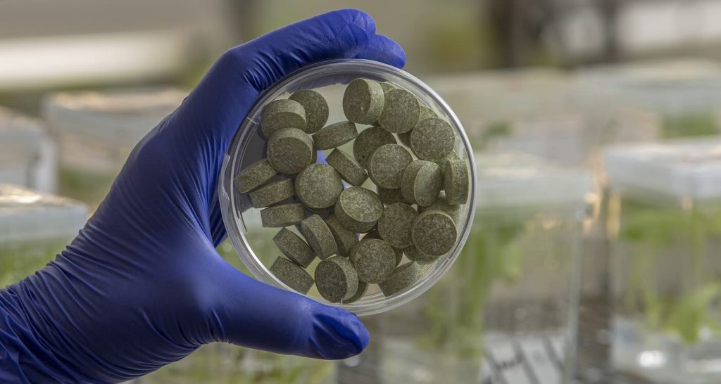 antiviral chewing gum cuts risk of certain head and neck cancers to almost zero in new study