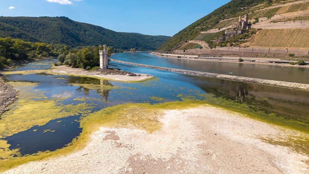 cruise trips disrupted with little warning due to low water levels on danube, rhine