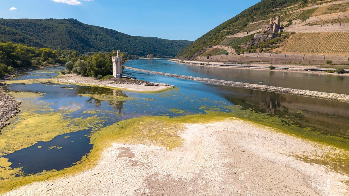 cruise trips disrupted with little warning due to low water levels on danube, rhine