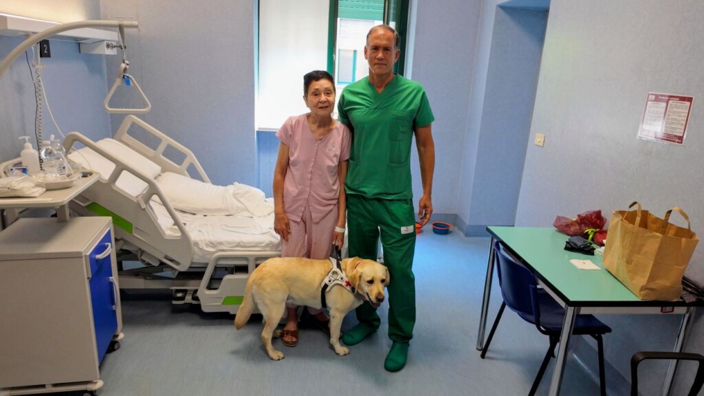 woman can see again after world’s first transplant of a central retina