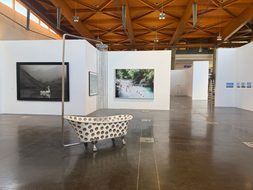 at the first bienal del agua, demetrio paparoni makes water political