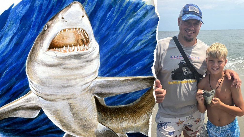 megalodon tooth discovered on jersey shore beach by man and son in sea isle city