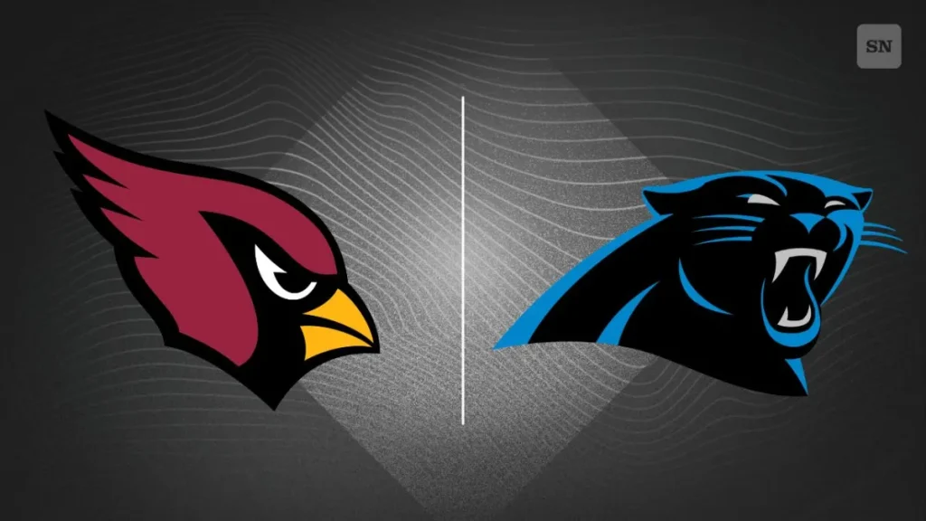 panthers qb3 haynes king shines during nfl debut