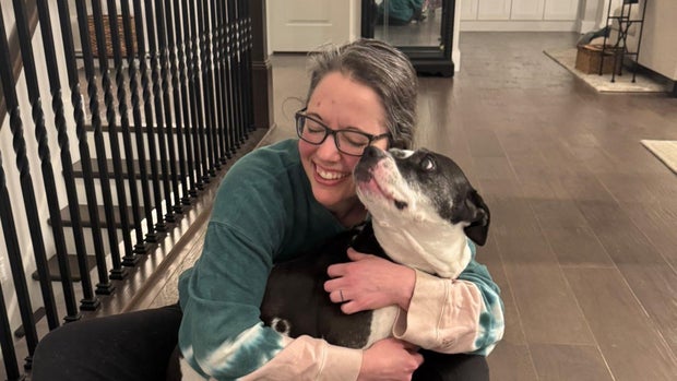 indiana police say a dog may have been used to conceal a murder weapon, but are they wrong?