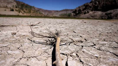 cop17: new global architecture for drought resilience launched at unccd meet | india news