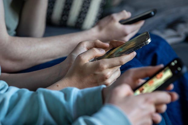 france’s social media ban for children under 15 struck down by top constitutional authority