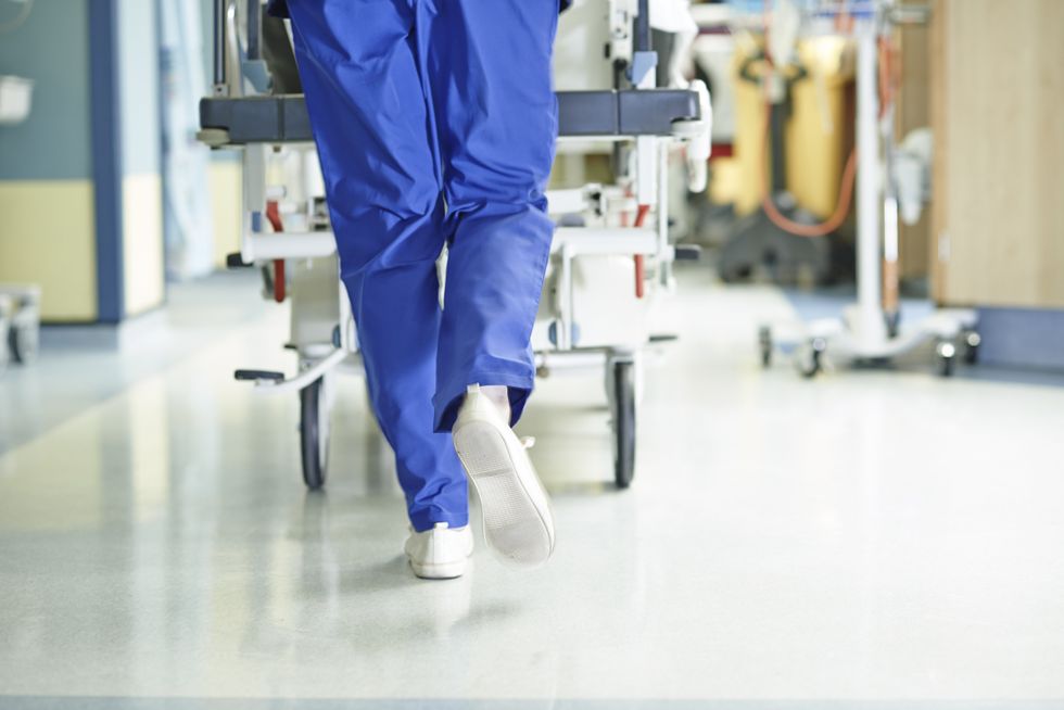 scientists sound alarm as lethal fungal infection kills a third of hospital patients