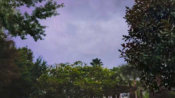 winter park family has near death experience when almost being struck by lightning
