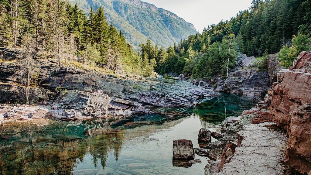 glacier national park visitor survives shocking cliff fall with bystander’s help