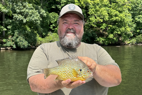 record shattering pumpkinseed sunfish caught in west virginia