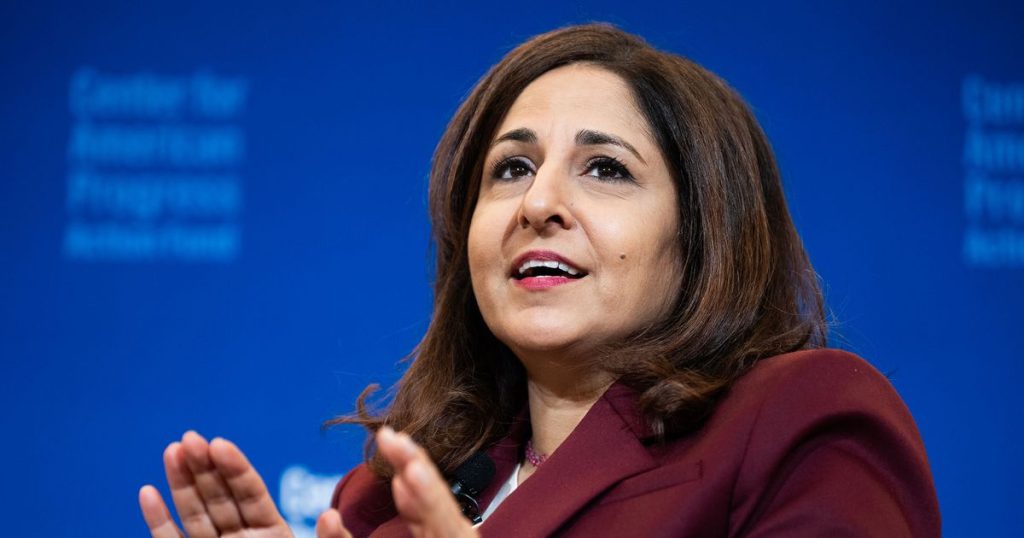 Neera Tanden, Establishment Warrior neera tanden, establishment warrior
