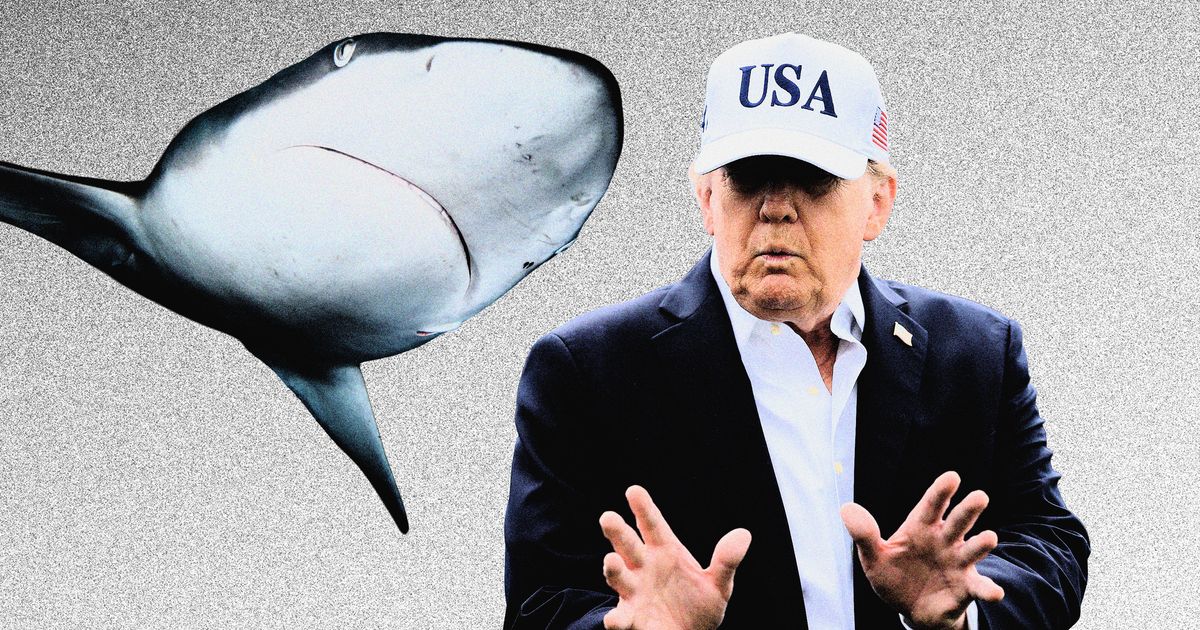 trump is still living every week like it’s shark week