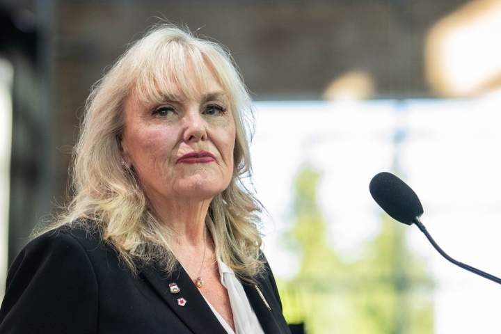 former bc conservative director accused of hiring private investigator