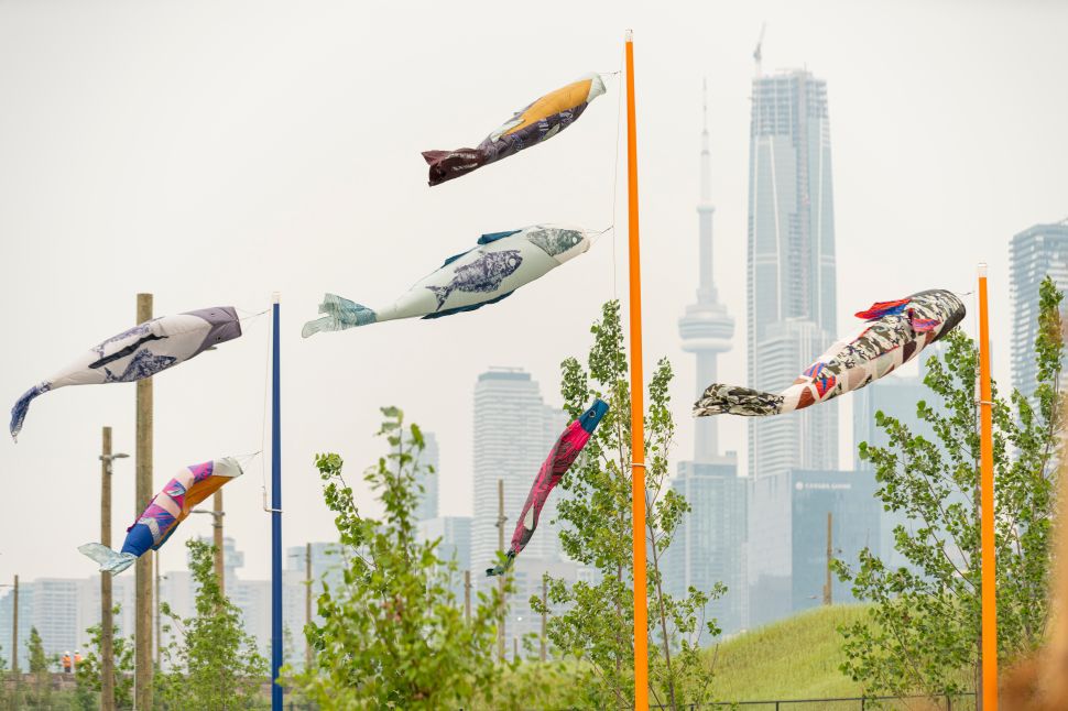 toronto’s lassonde art trail reimagines public art as part of a healthier urban ecosystem
