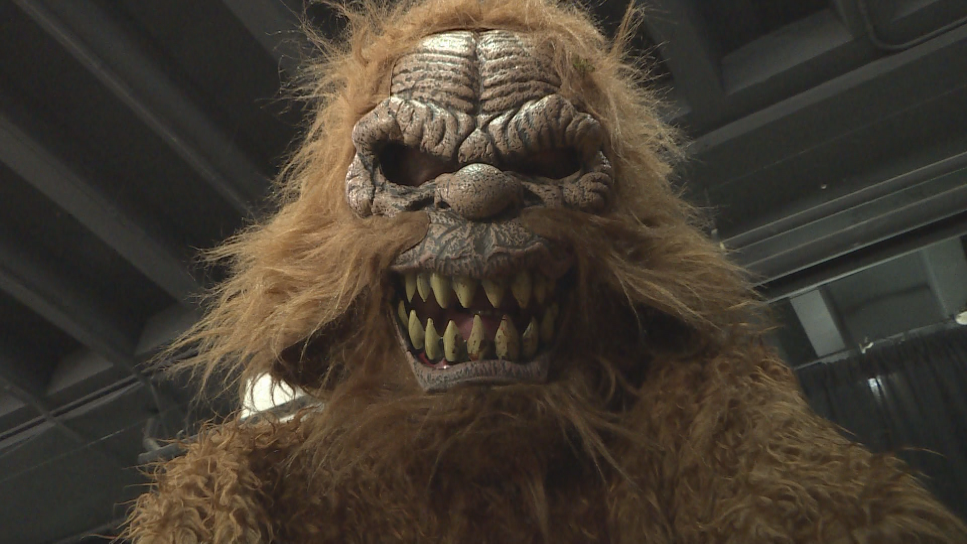 canadian filmmaker sets record for most bigfoot live action movies – winnipeg