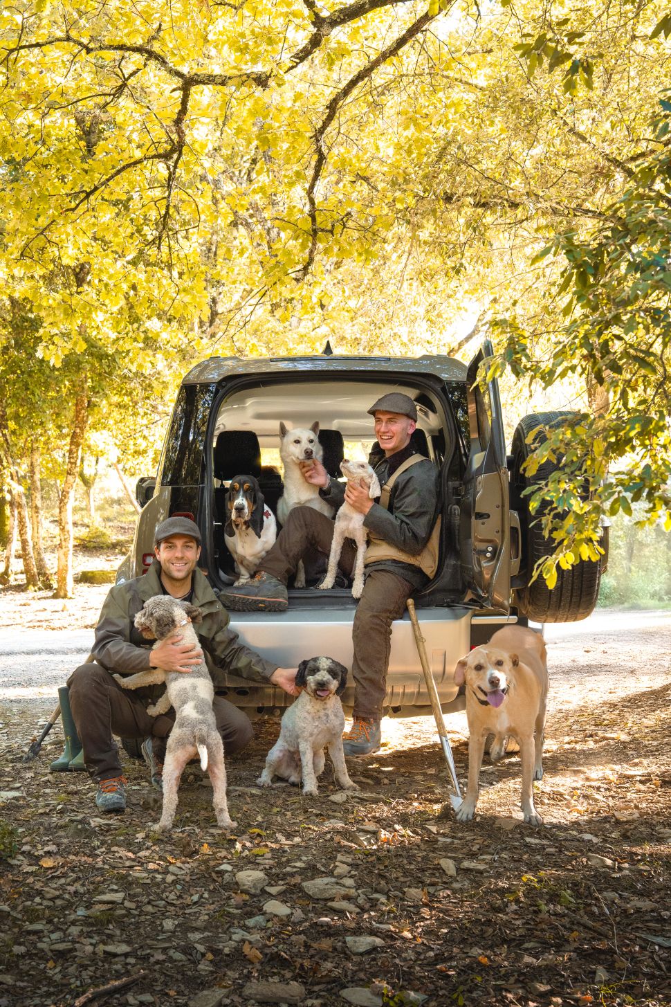 everything you should know about truffle hunting in italy