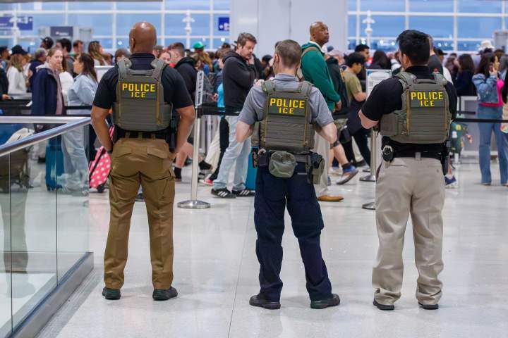 new ice contracts for quebec based security firm involved with ‘alligator alcatraz’
