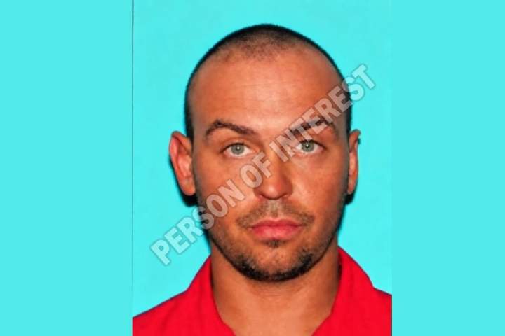 person of interest arrested after 4 killed in louisiana stabbings – national