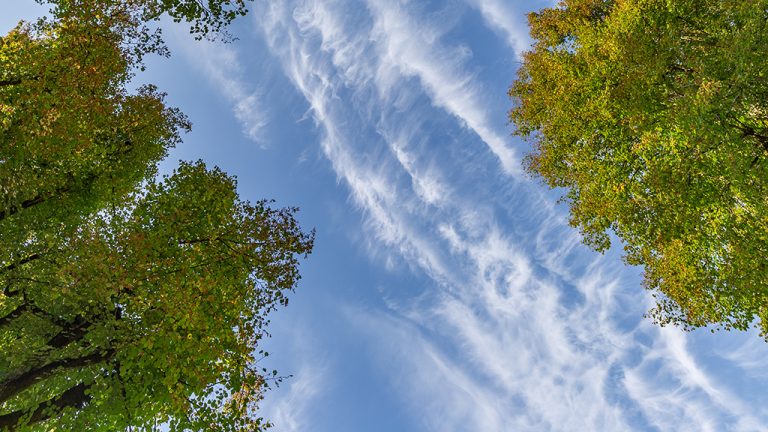 greening and blueing