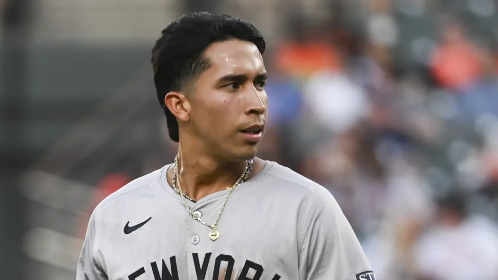 yankees dfa fan favorite infielder amid clarke schmidt news