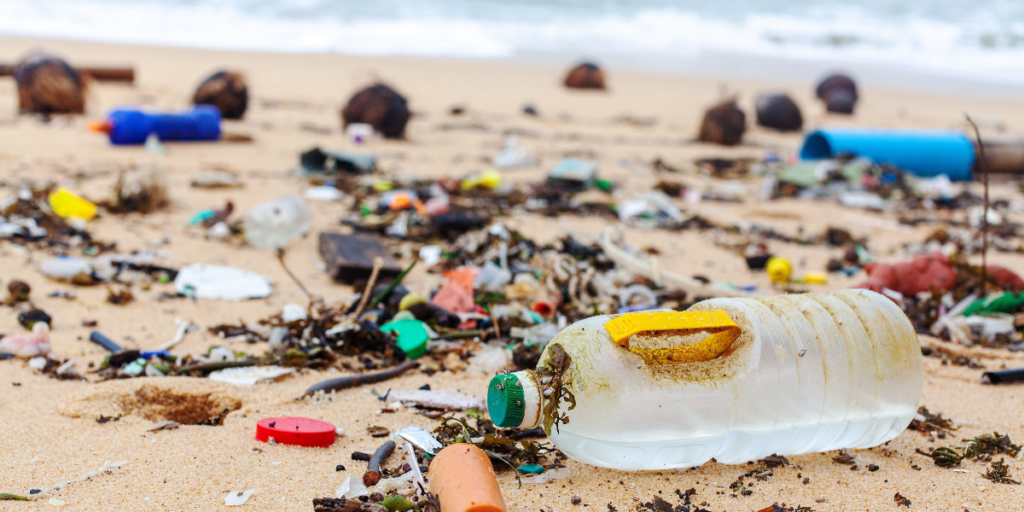 mallorca beach clean up « euro weekly news