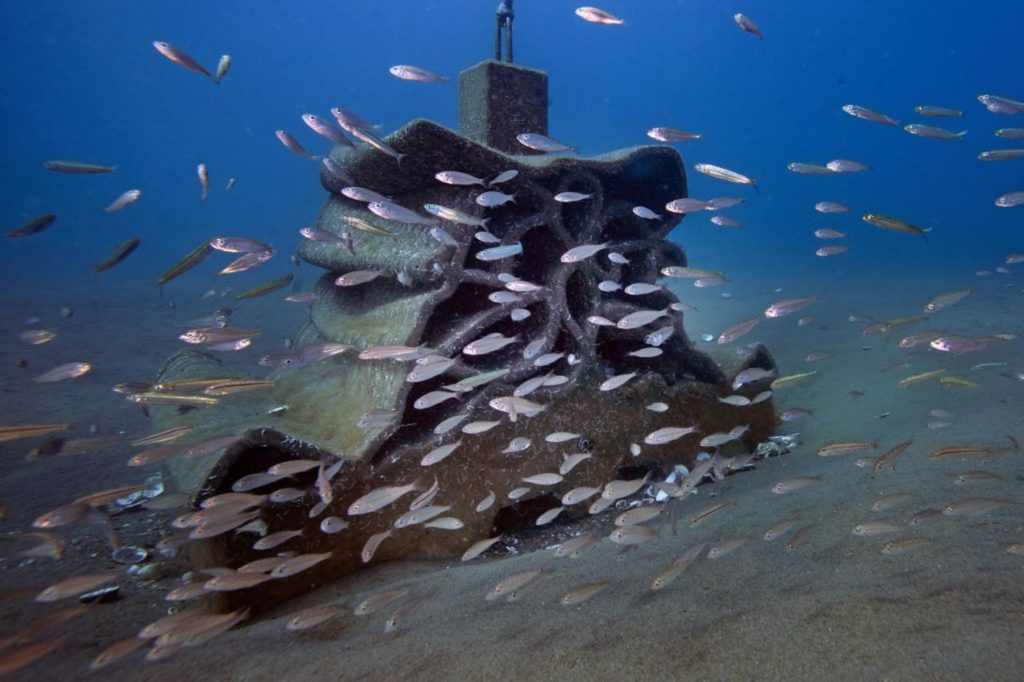 decommissioned natural gas rig creates two artificial reef sites off alabama coast