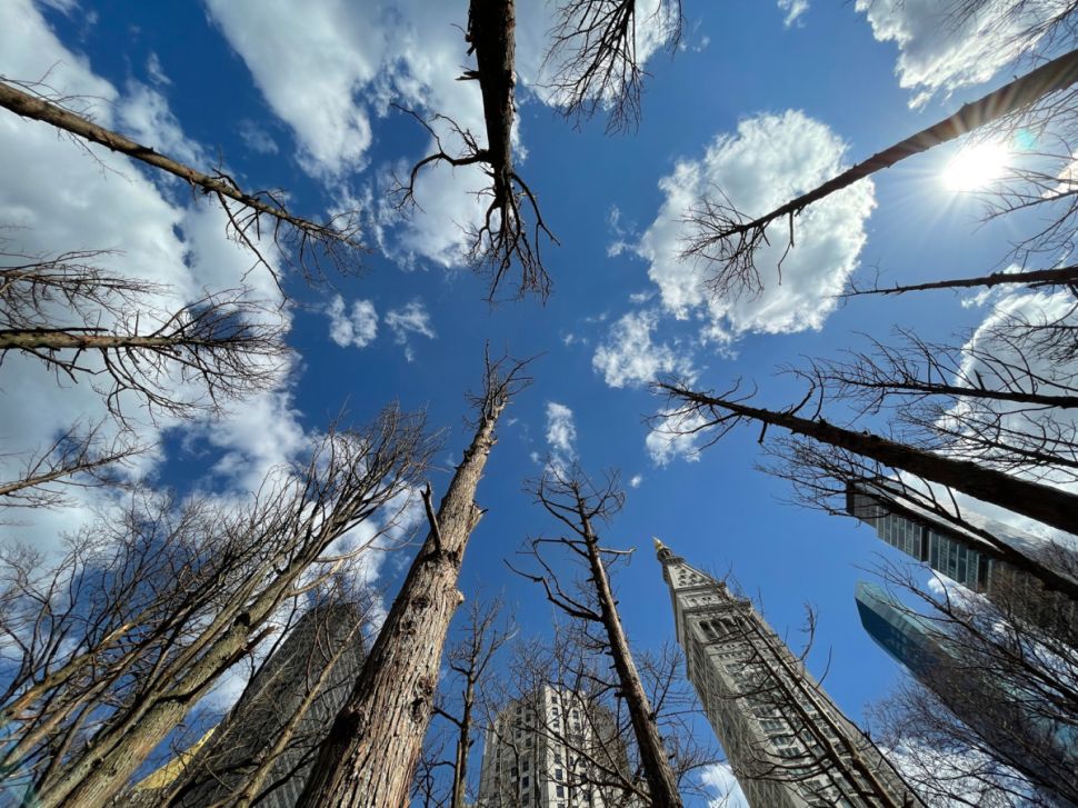 five artists who treat the earth as both medium and beneficiary