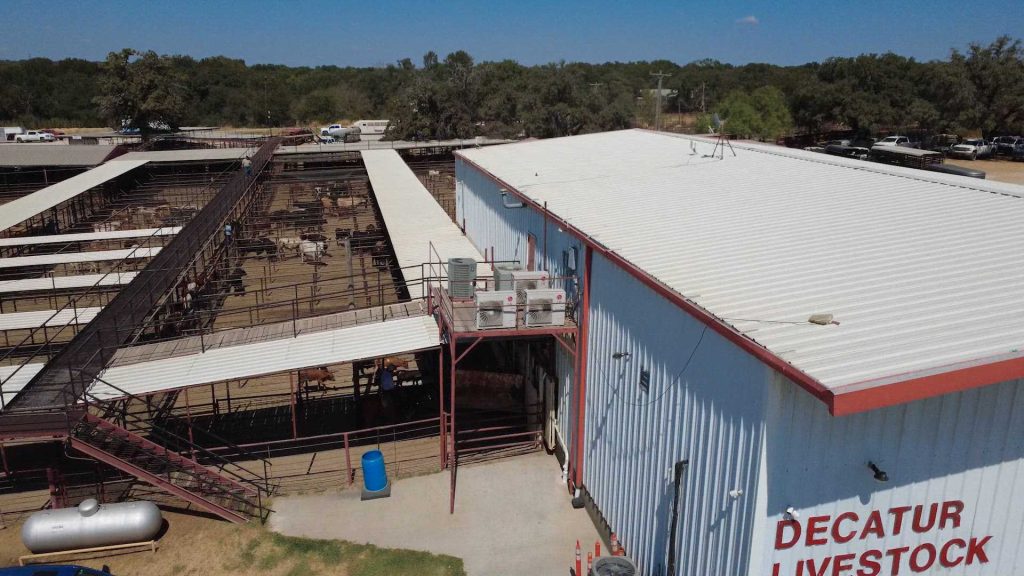 farm to table: texas ranchers feel squeeze from trump beef import plan