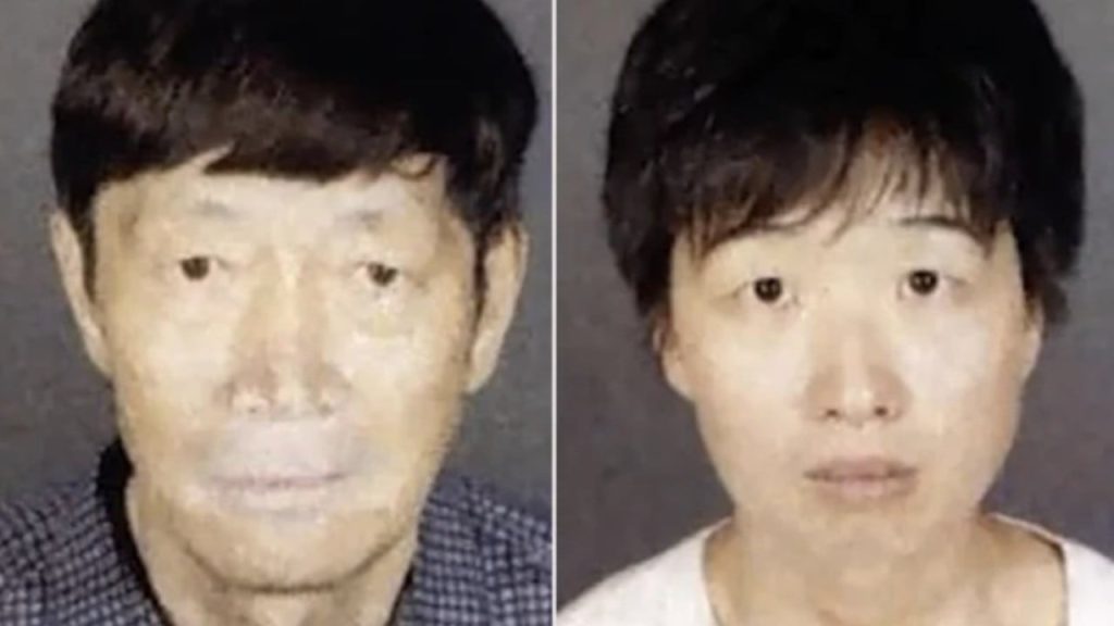 US seeks US$100 million bail each for Chinese-born couple in surrogacy child abuse case us seeks us$100 million bail each for chinese born couple in surrogacy child abuse case